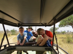 Le parc Tarangire, le cratère du Gnorongoro, le Serengeti et les lacs Manyara et Eyasi